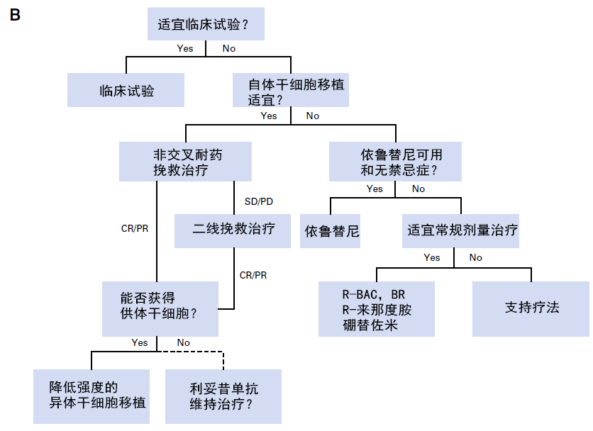 该类患者,包括利妥昔单抗,吉西他滨,奥沙利铂;r-dhap;rhyper-cvad/ma