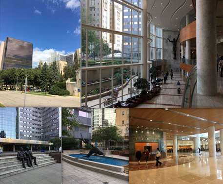 梅奥医学中心mayoclinic访学记录