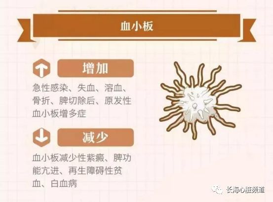 教你读懂体检报告系列:血液生化指标