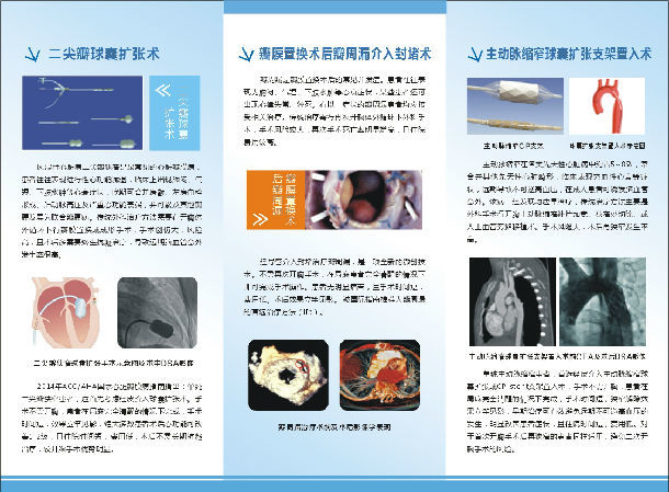 好大夫在线 杨剑 > 西京医院结构性心脏病特色微创介入治疗专业特长
