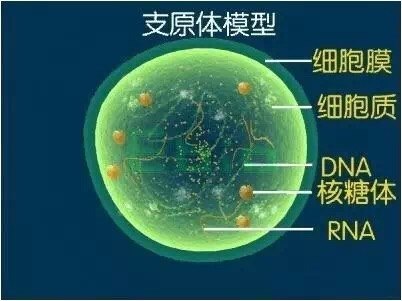 暂无