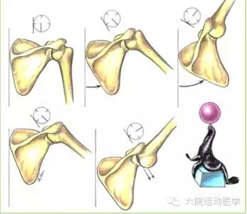 肩關節不穩經常脫位怎麼回事上篇