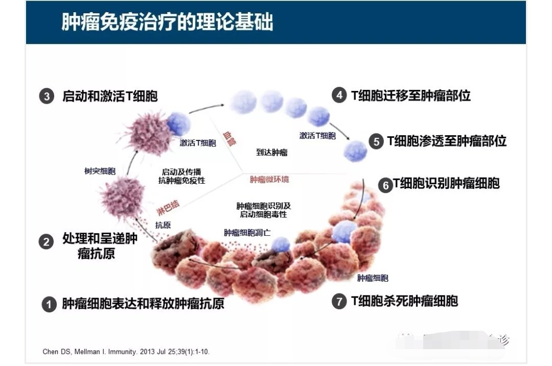 什么是非小细胞肺癌的免疫治疗