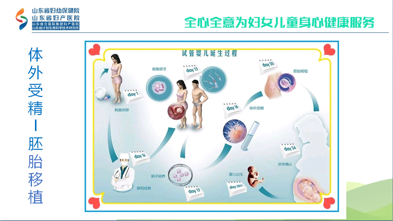 图说 试管婴儿 试管婴儿 疾病介绍 图说 试管婴儿 试管婴儿 疾病介绍