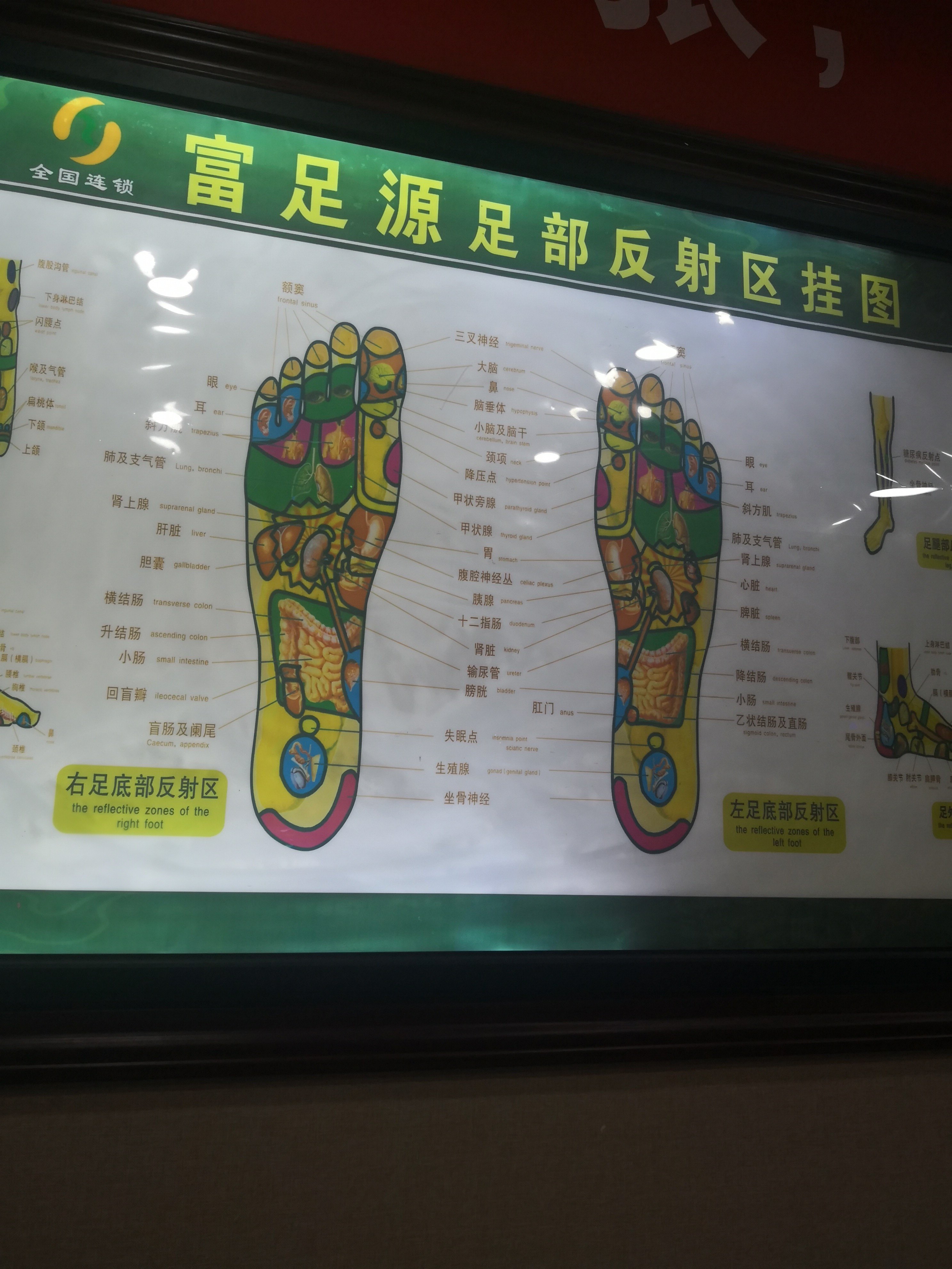 暂无