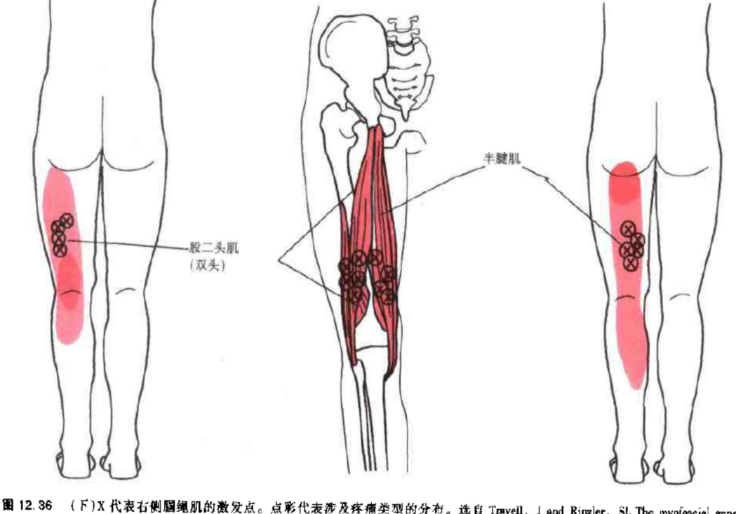 常见膝关节疼痛的体格检查 