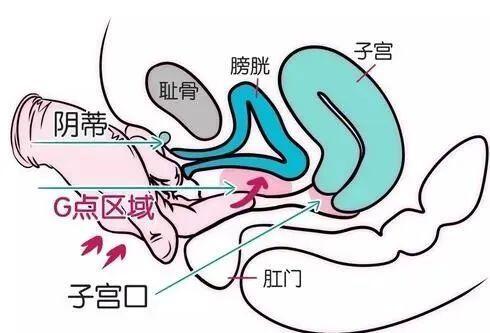 微信图片_20250406104646.jpg