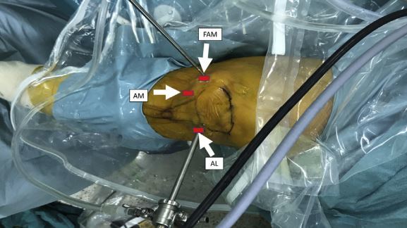 1588683682223695.jpg 截图07.jpg