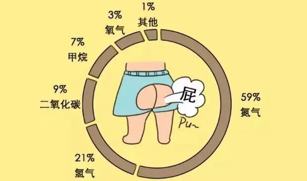 为什么会放屁呢?_便秘_便秘症状表现 - 好大夫在线