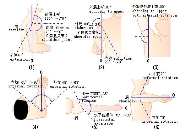 各关节活动度的参考值