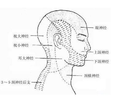 难忍的后脑勺痛