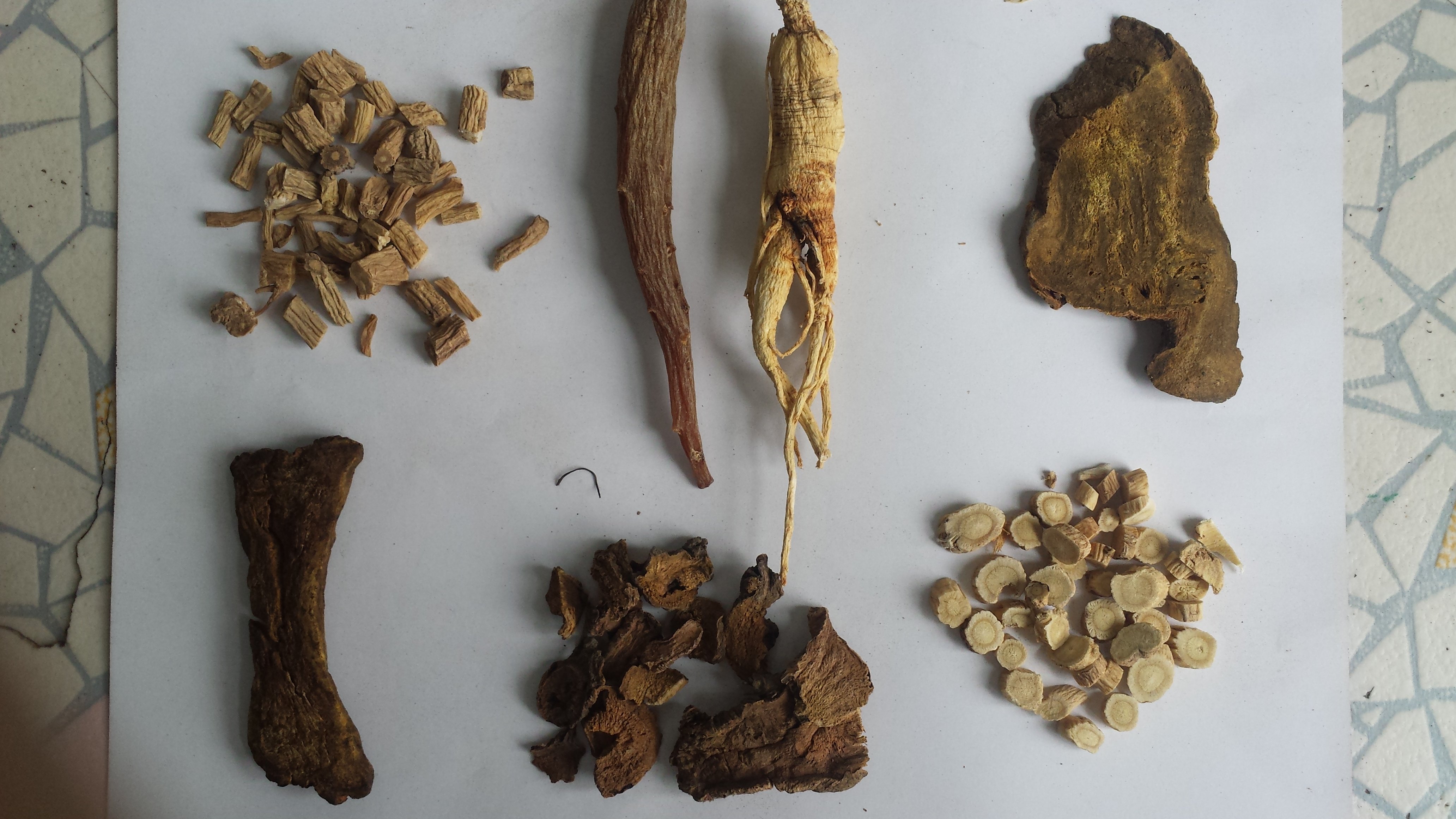 中药辨识练习(10) - 好大夫在线