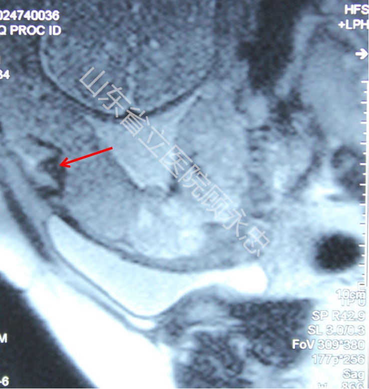 mmexport1560081901605.jpg
