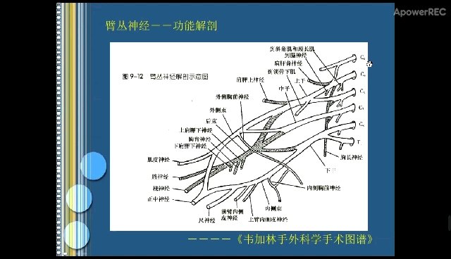 默认图片