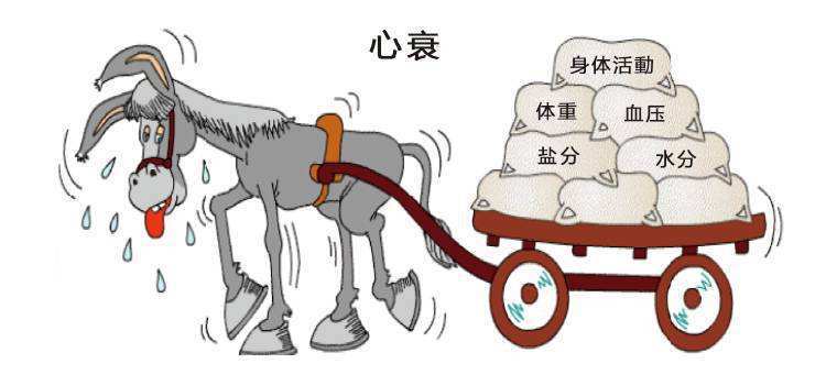 心力衰竭的分级 心衰 心衰症状