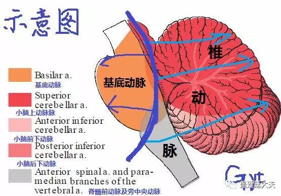 至此