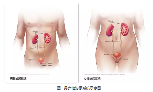 暂无