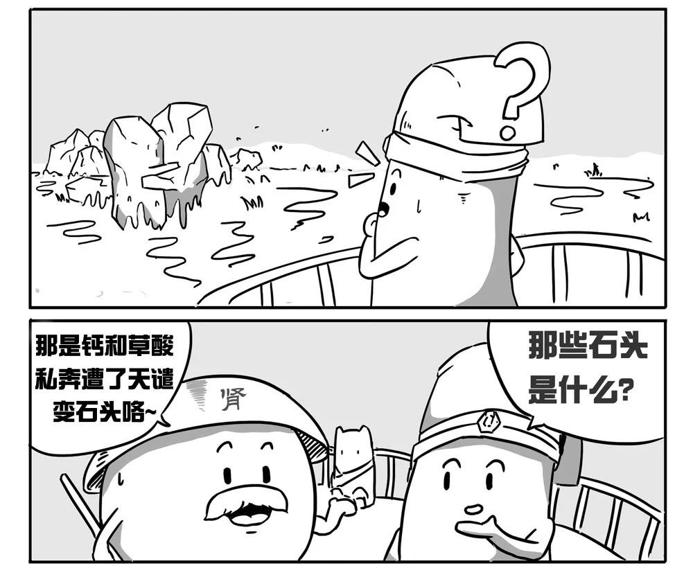 草酸极易与钙发生反应 形成草酸钙结晶而草酸钙是肾结石的主要成分