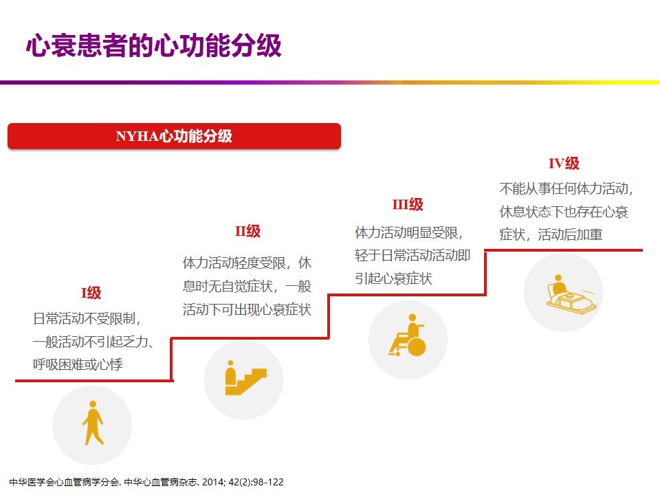 心衰金三角图片