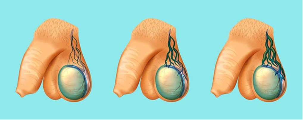 1590504635191082.jpg 图片3.jpg