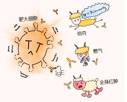 暂无