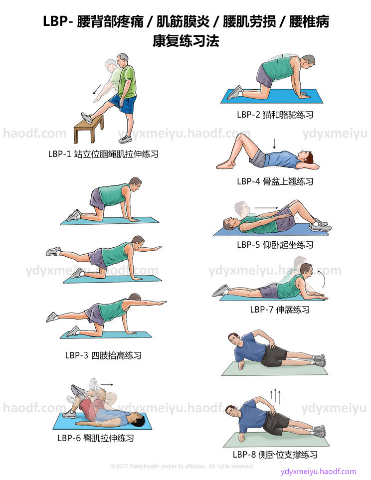 背部筋膜炎拉伸训练图图片