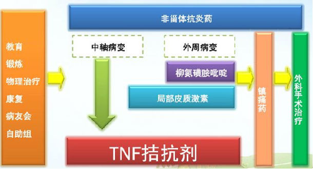 強直性脊柱炎的治療建議