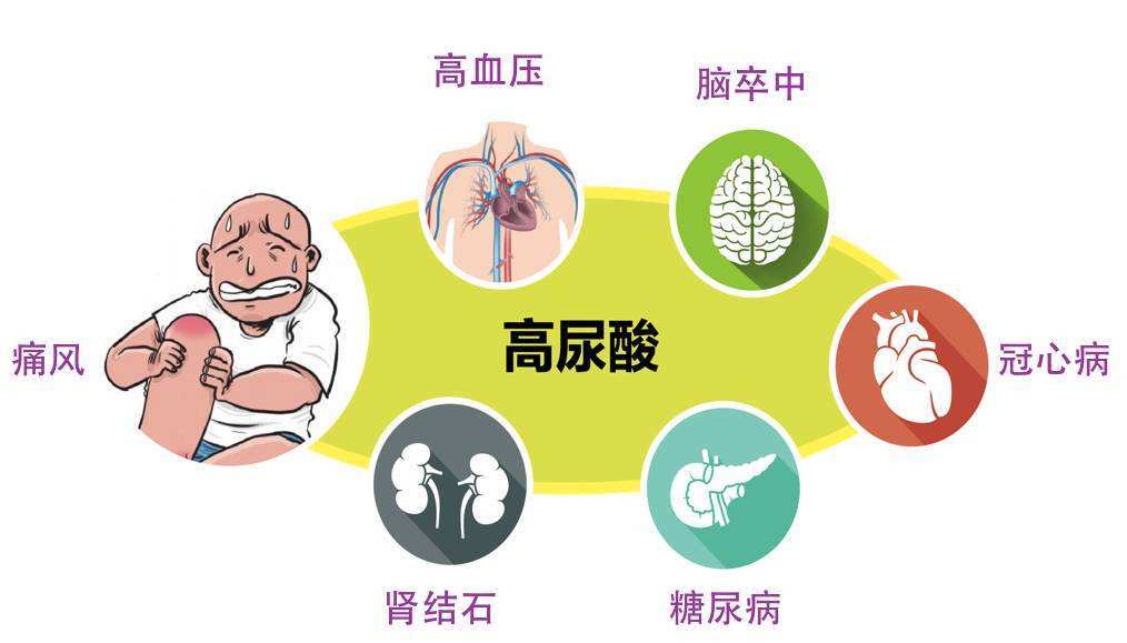 痛風_痛風疾病介紹 - 好大夫在線