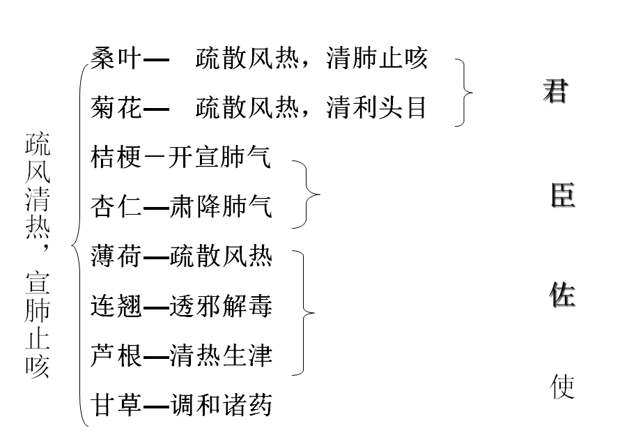 【功用】疏风清热,宣肺止咳【用法】水煎服,每日两次.