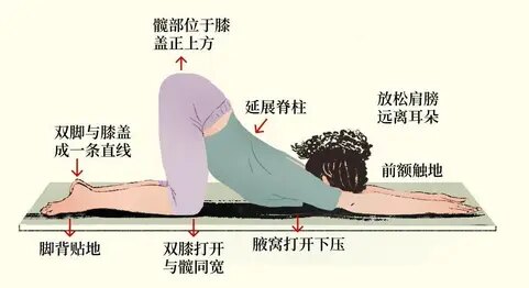小狗伸展式.jpg