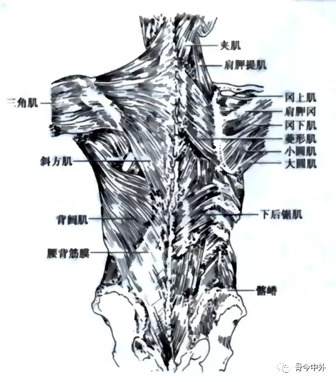 mmexport1576490086036.jpg