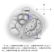 1574391612334552.png image.png