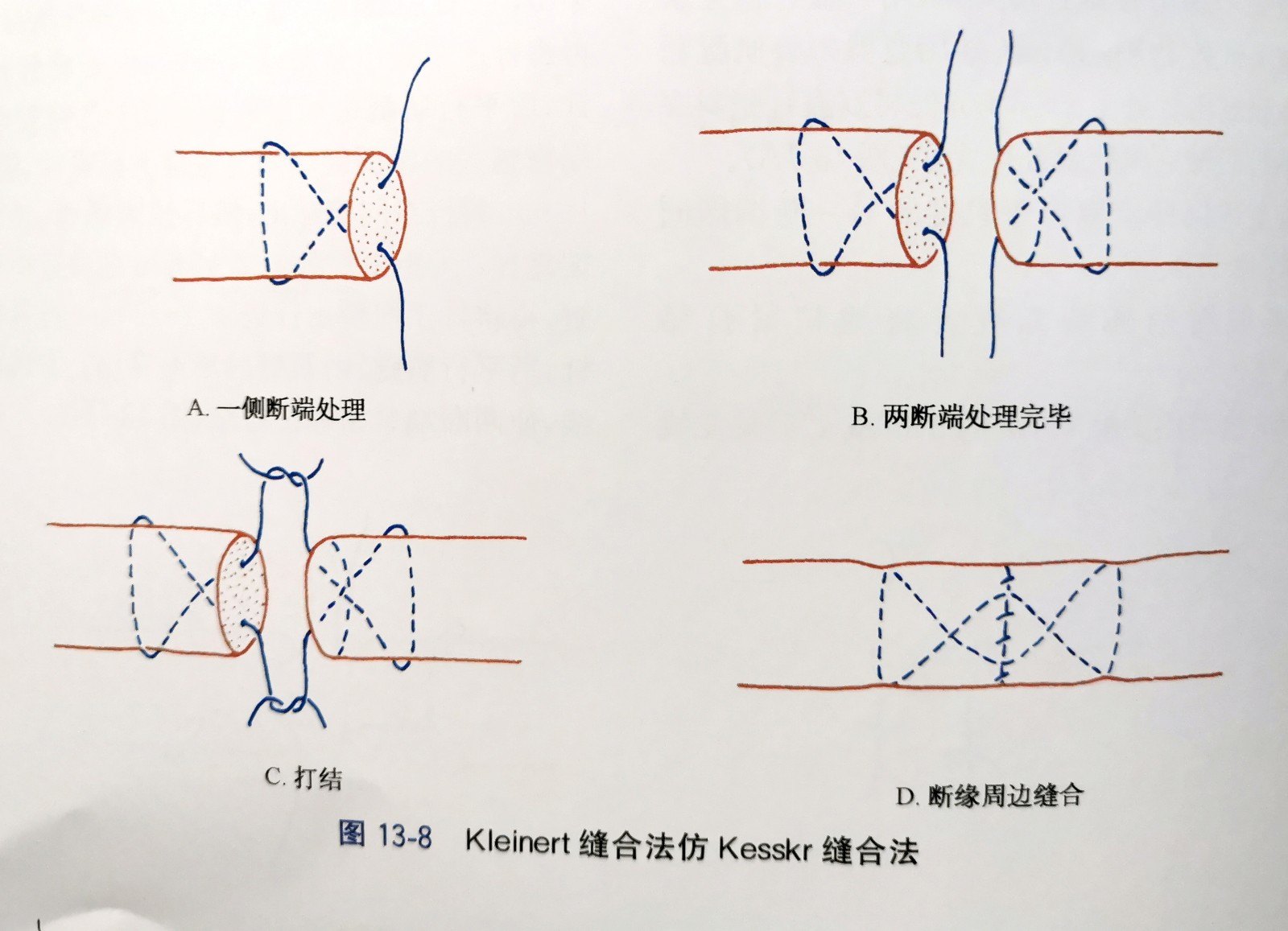 微信图片_20191211194051_conew1.jpg