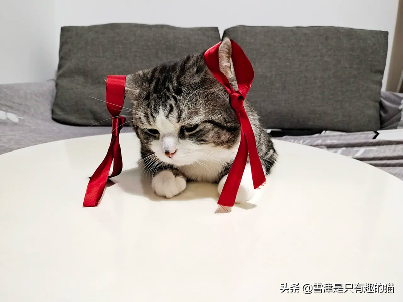 圖文圖片
