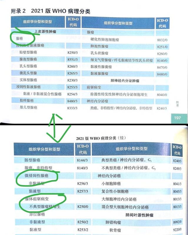 圖文圖片
