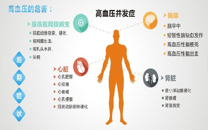 原发性高血压占高血压的90%以上,通常与遗传,肥胖,长期饮酒,摄入高盐