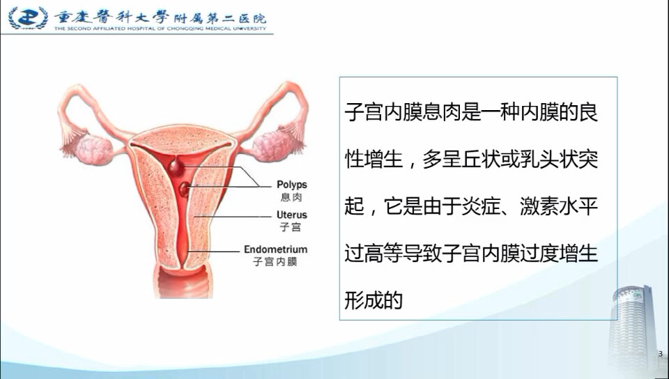 默认图片