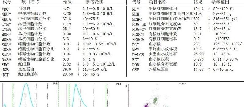 圖文圖片