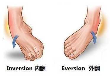 踝关节骨折后如何康复练习