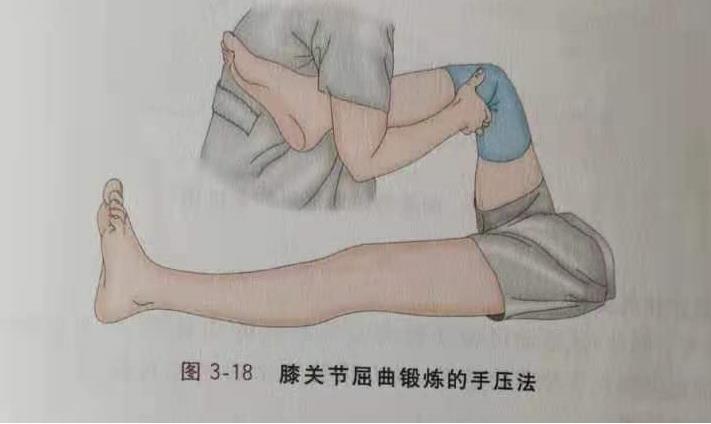 膝关节屈曲动作示意图图片