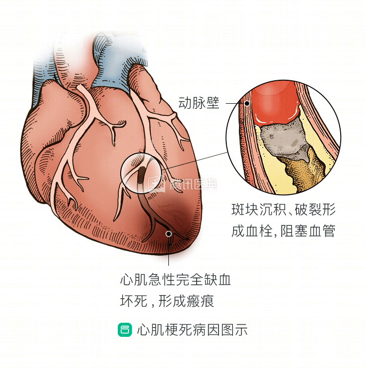 医生头像