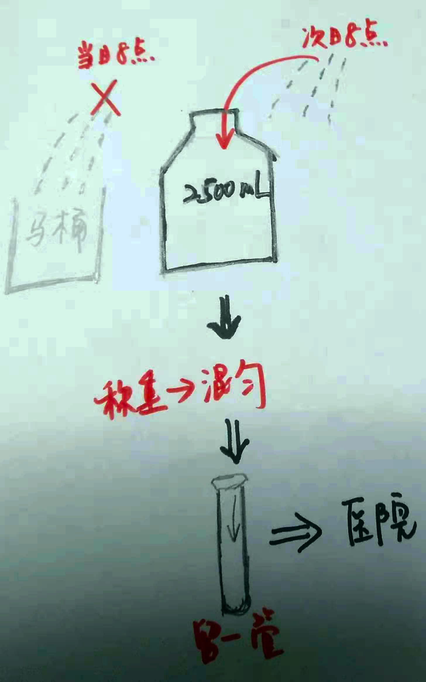 24小时尿蛋白留取方法图片