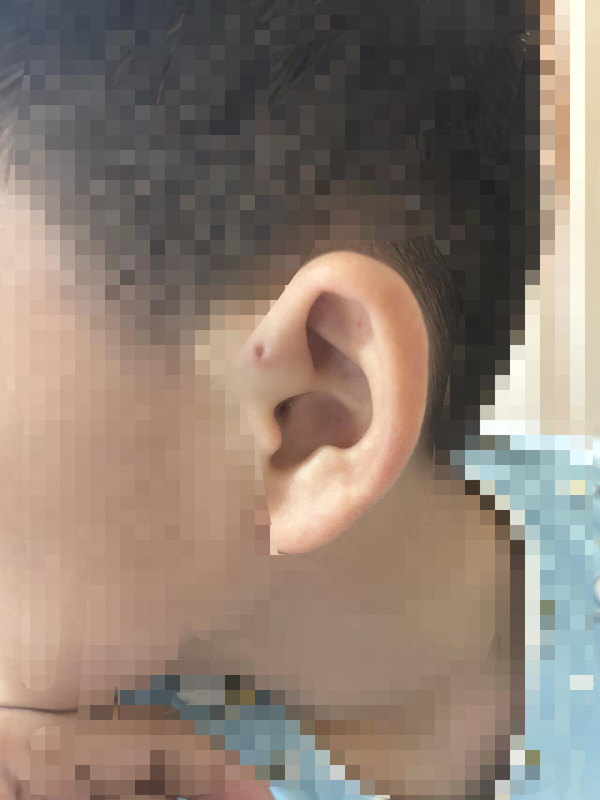 圖文圖片