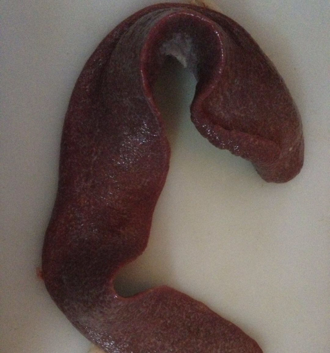 "猪横脷"独脚金汤 - 好大夫在线