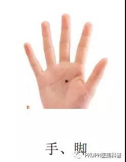 1570690612537878.jpg