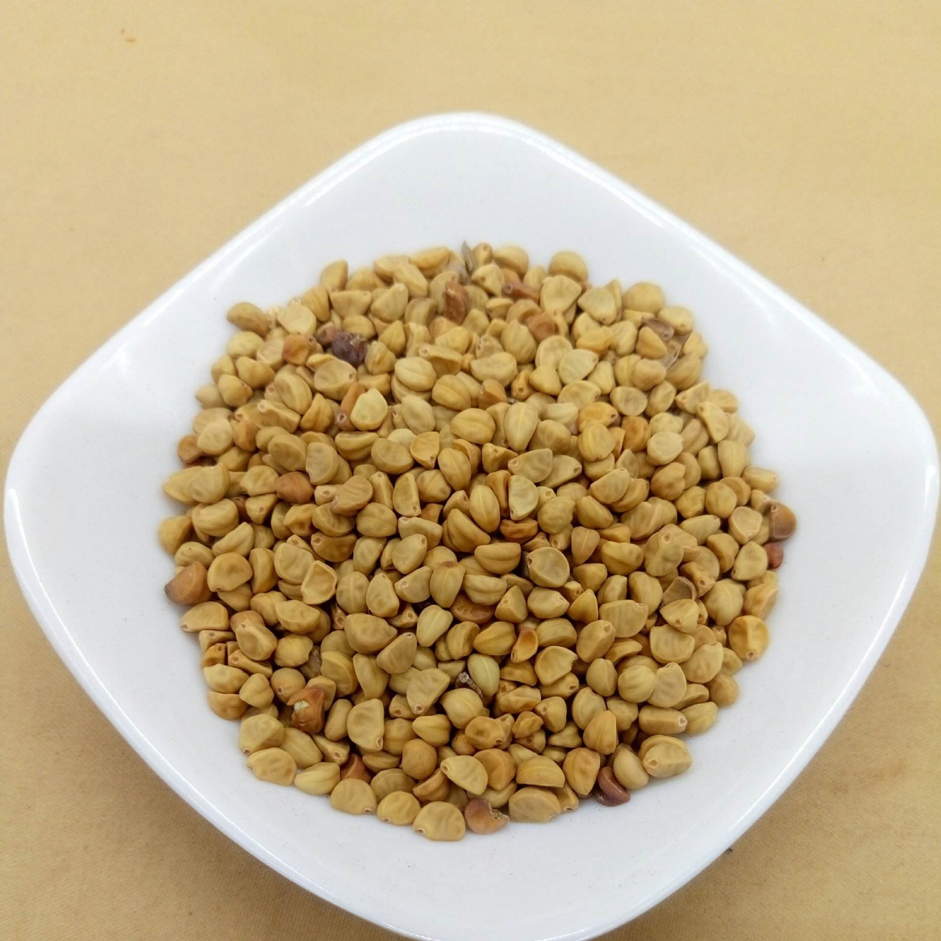 牵牛子 南阳市第六人民医院 中医科 仲景苑