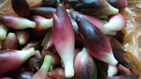 洋藿 南阳市第六人民医院 中医科 仲景苑