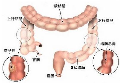 暂无