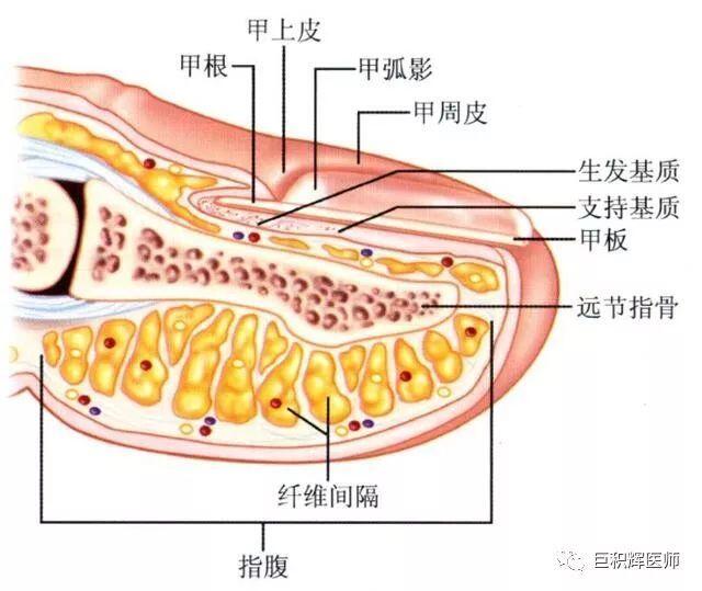 圖文圖片