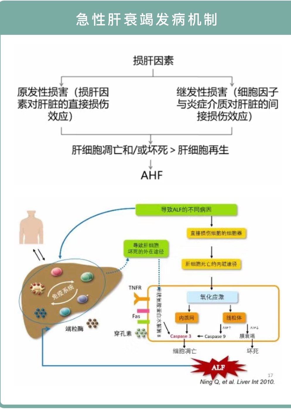 孟庆华教授:急性肝衰竭的激素应用和营养支持 